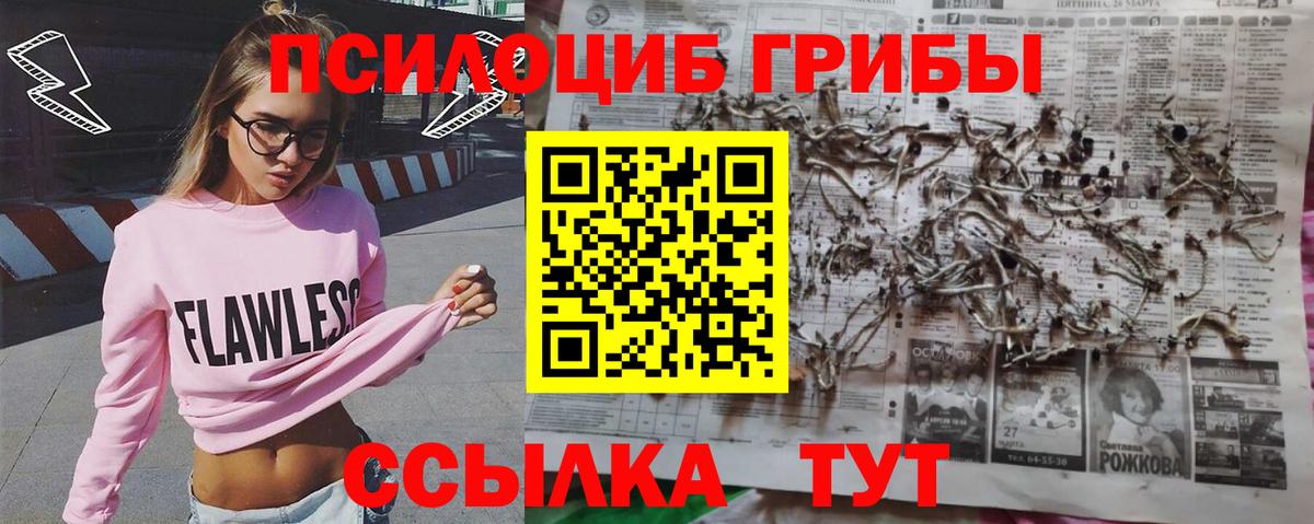 Псилоцибиновые грибы Psilocybe  купить закладку  Москва  Вход с VPN 